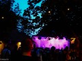 DSC02817